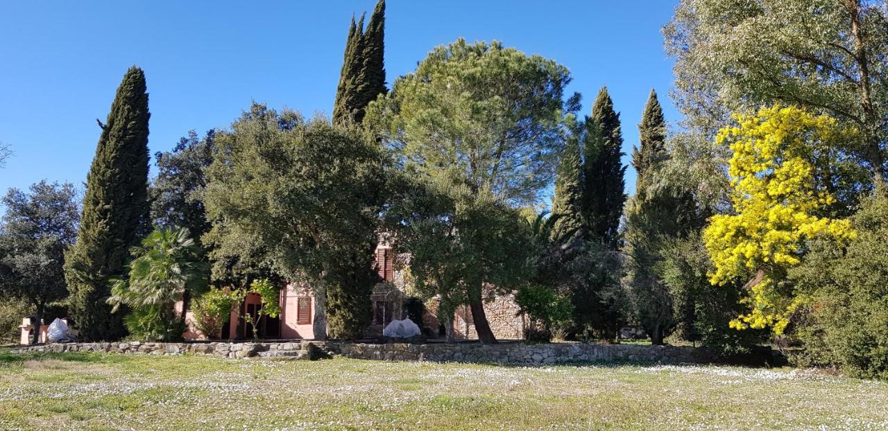 Podere La Fornace Ravi Εξωτερικό φωτογραφία