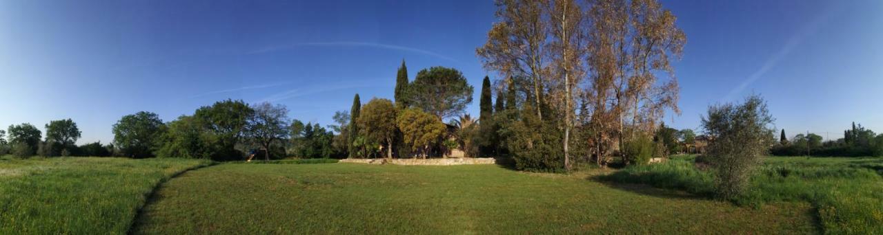 Podere La Fornace Ravi Εξωτερικό φωτογραφία